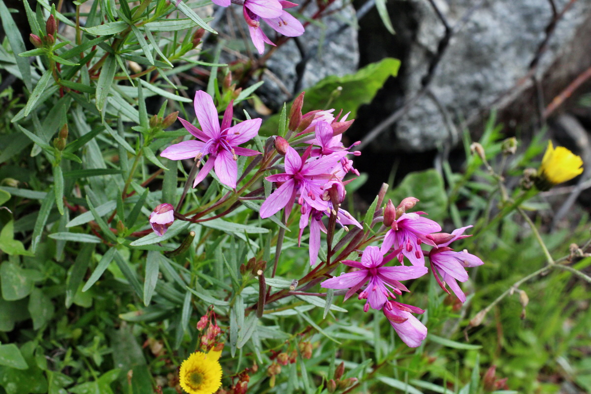 2014_07_30_00006755p_Bildgr��e �ndern