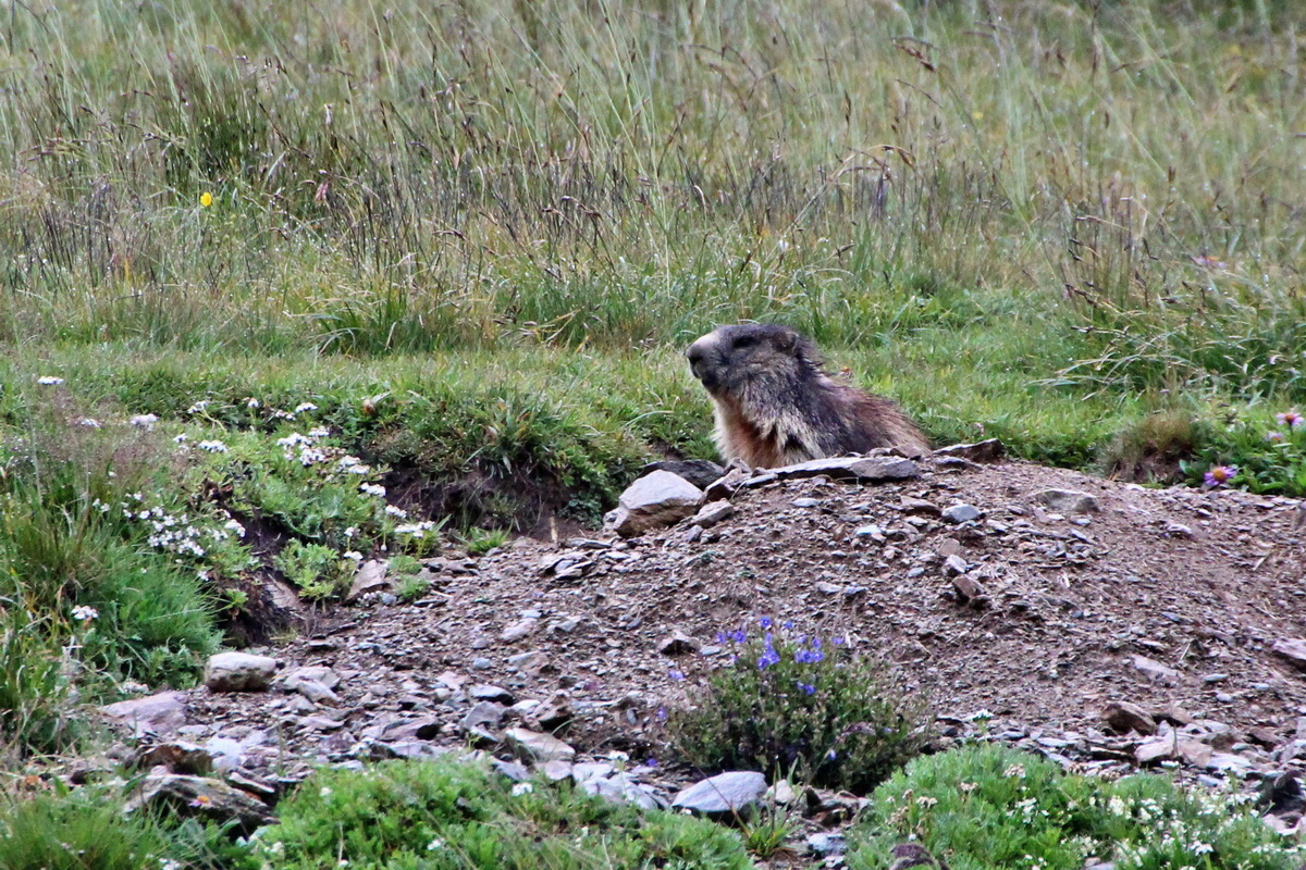 2014_07_30_00006885ap_Bildgr��e �ndern