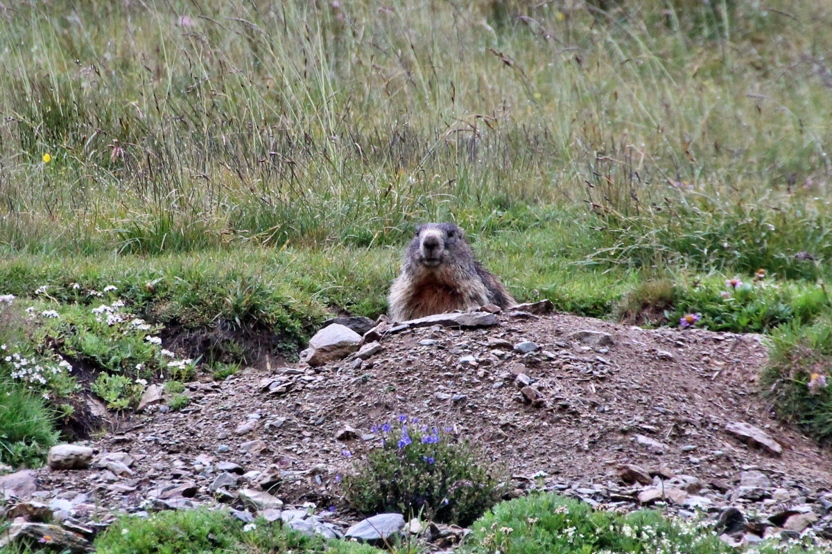 2014_07_30_00006889ap_Bildgr��e �ndern