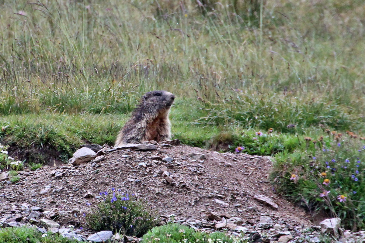 2014_07_30_00006892ap_Bildgr��e �ndern