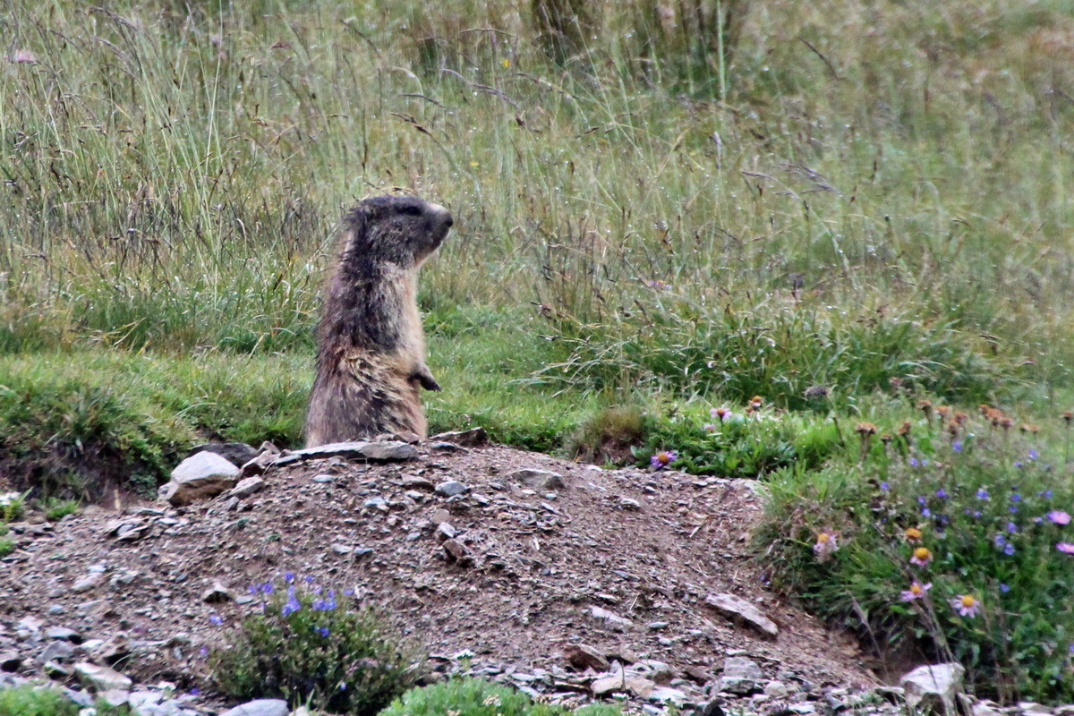 2014_07_30_00006899ap_Bildgr��e �ndern