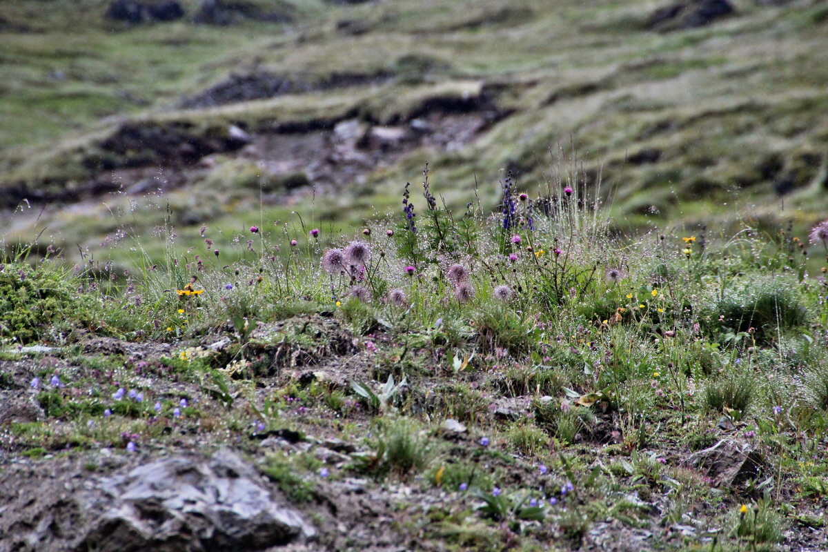 2014_07_30_00006915p_Bildgr��e �ndern