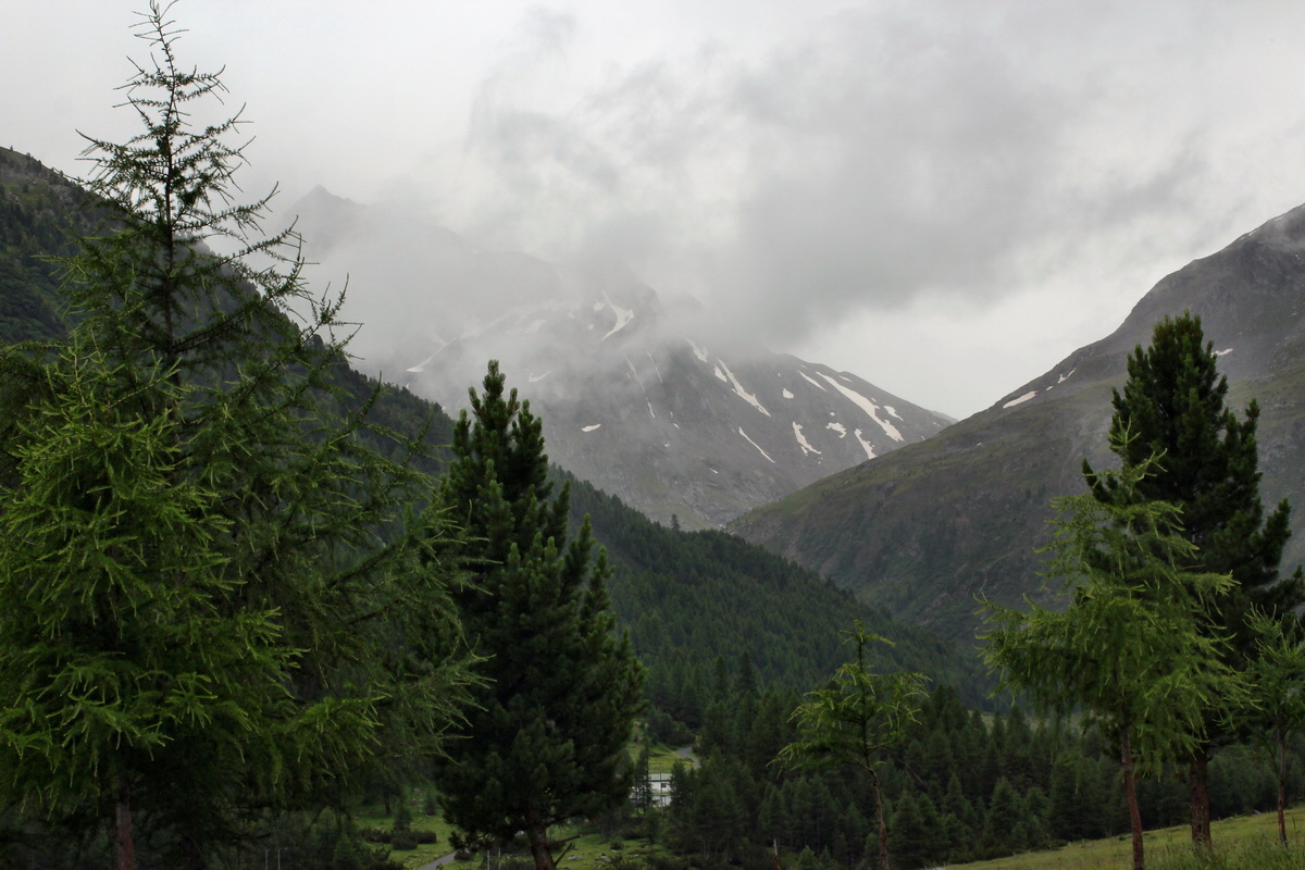 2014_07_30_00006758p_Bildgr��e �ndern