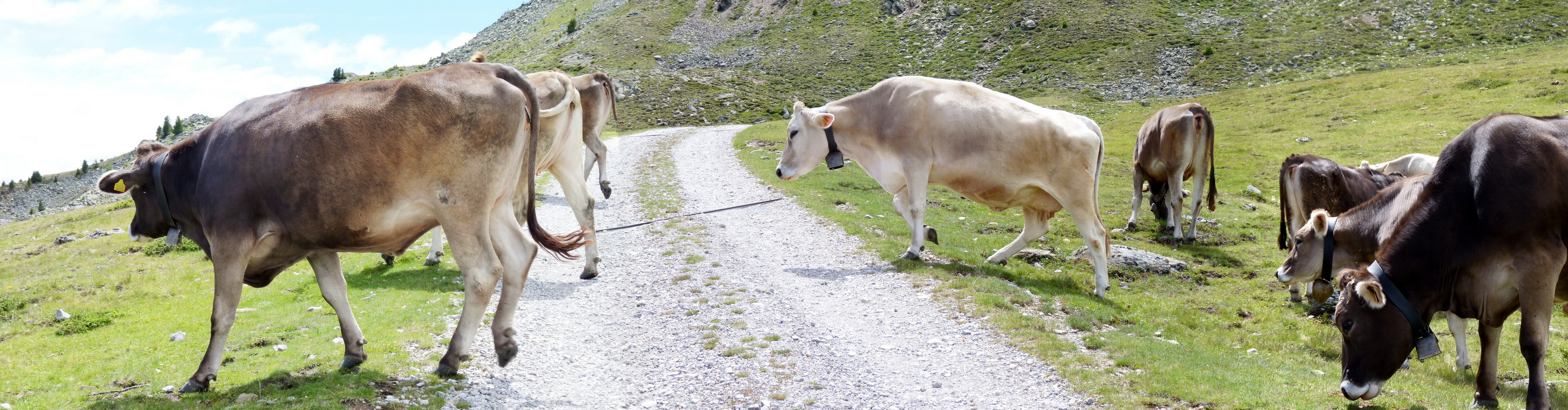 [Group 50]-P1150676_P1150681-3 images_Bildgr��e �ndern