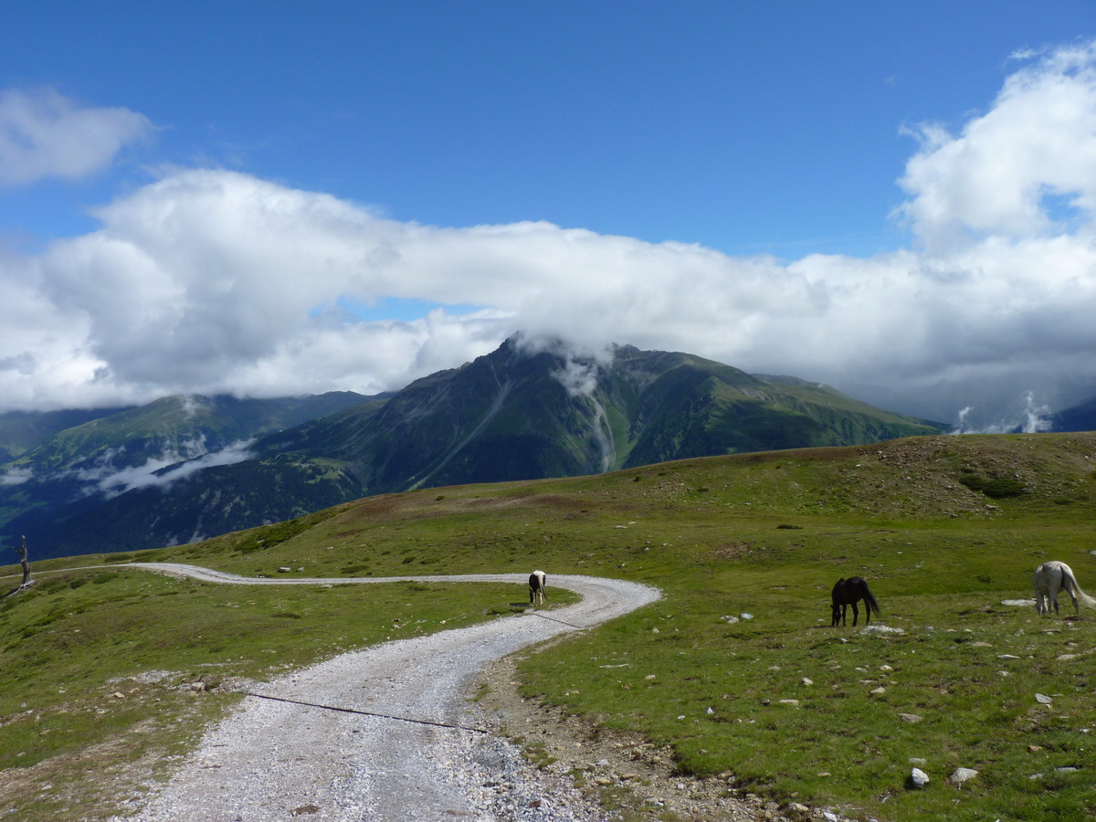 P1150612_Bildgr��e �ndern