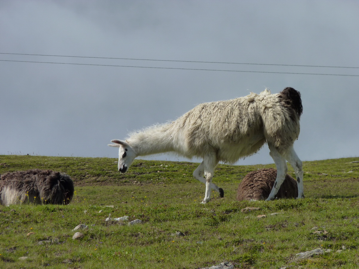 P1150617_Bildgr��e �ndern