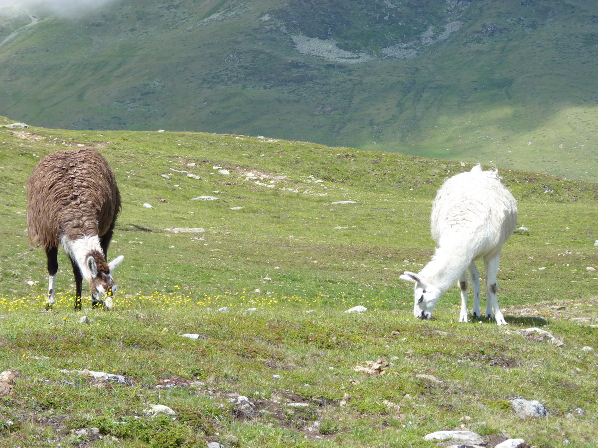 P1150624_Bildgr��e �ndern