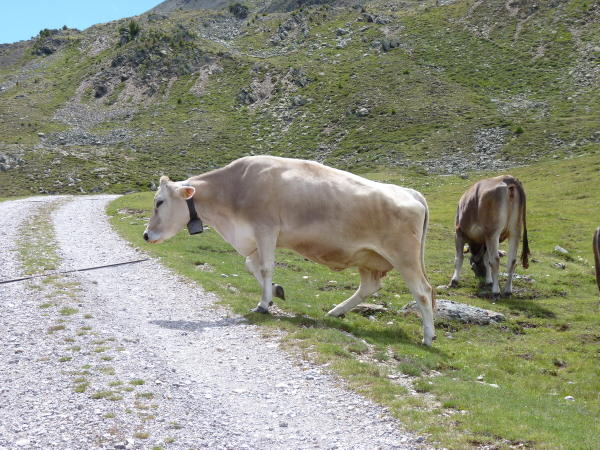 P1150676_Bildgr��e �ndern