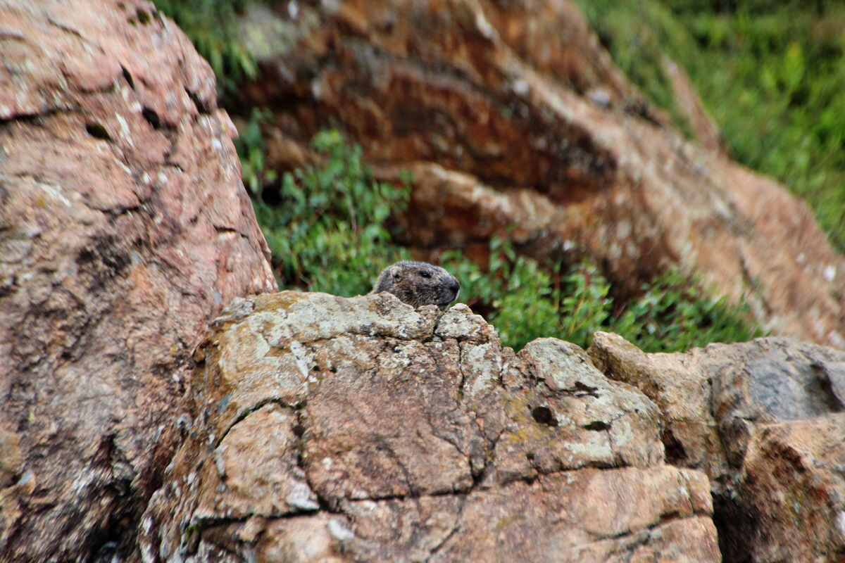 2014_07_31_00007051p_Bildgr��e �ndern