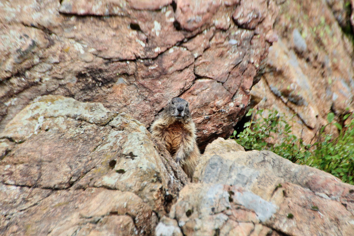 2014_07_31_00007055p_Bildgr��e �ndern