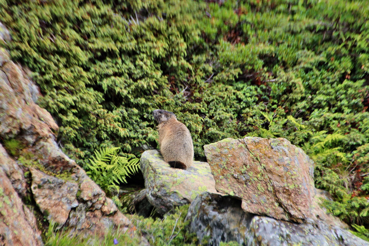 2014_07_31_00007056p_Bildgr��e �ndern