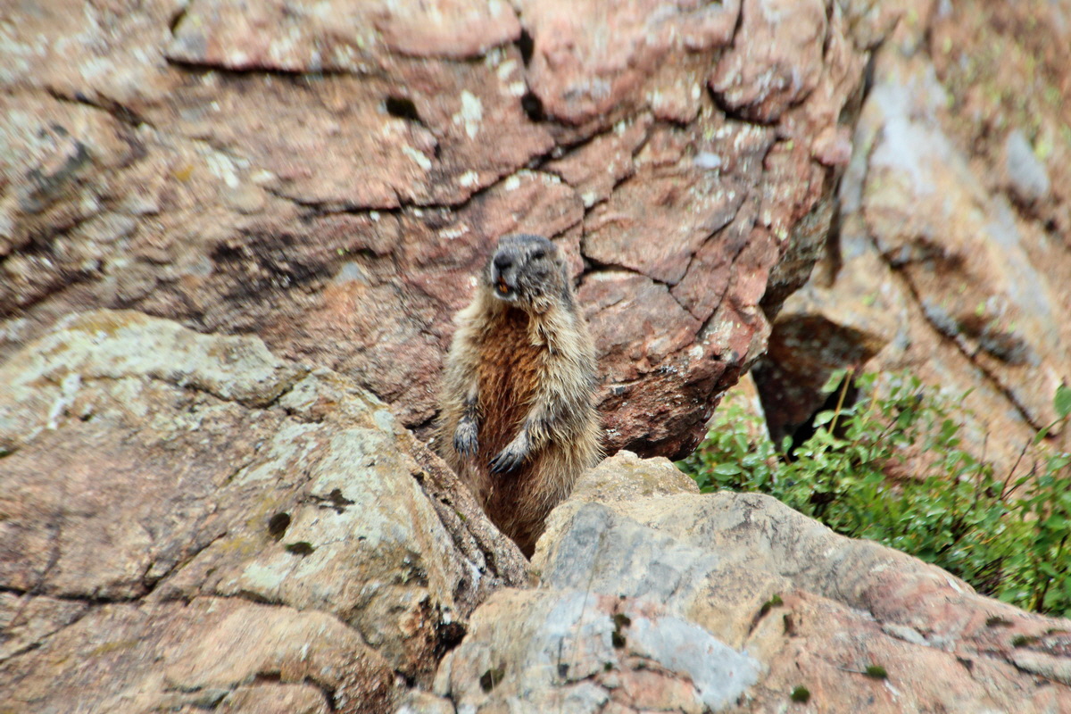 2014_07_31_00007062p_Bildgr��e �ndern