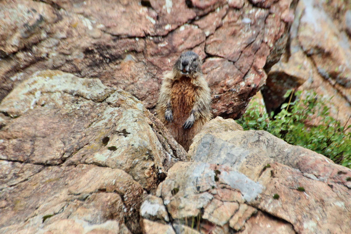 2014_07_31_00007063p_Bildgr��e �ndern