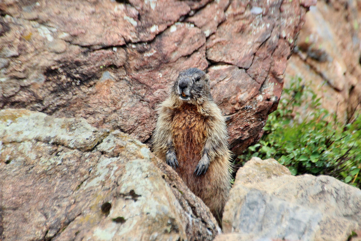 2014_07_31_00007067p_Bildgr��e �ndern