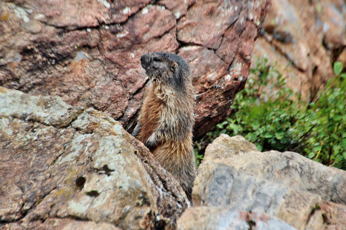 2014_07_31_00007079p_Bildgr��e �ndern