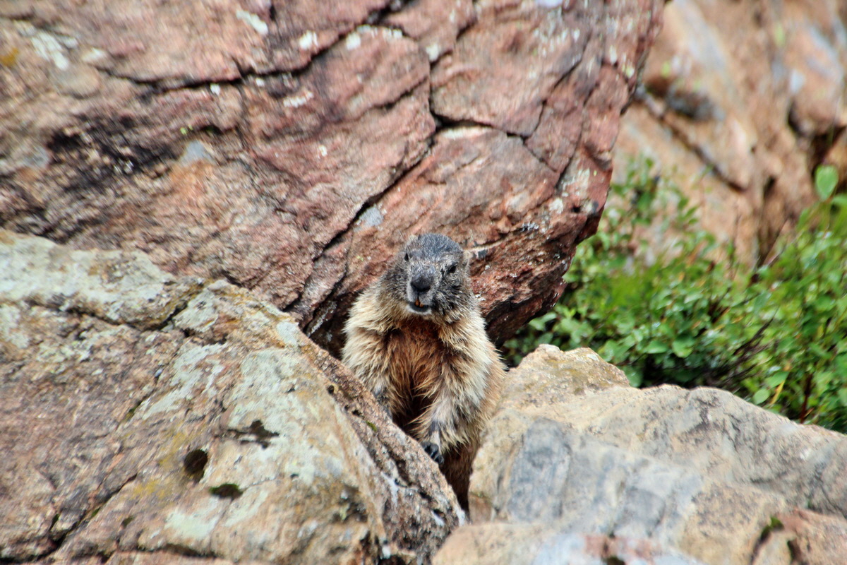 2014_07_31_00007081p_Bildgr��e �ndern