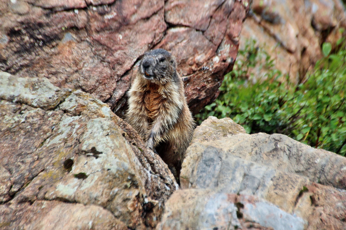 2014_07_31_00007082p_Bildgr��e �ndern