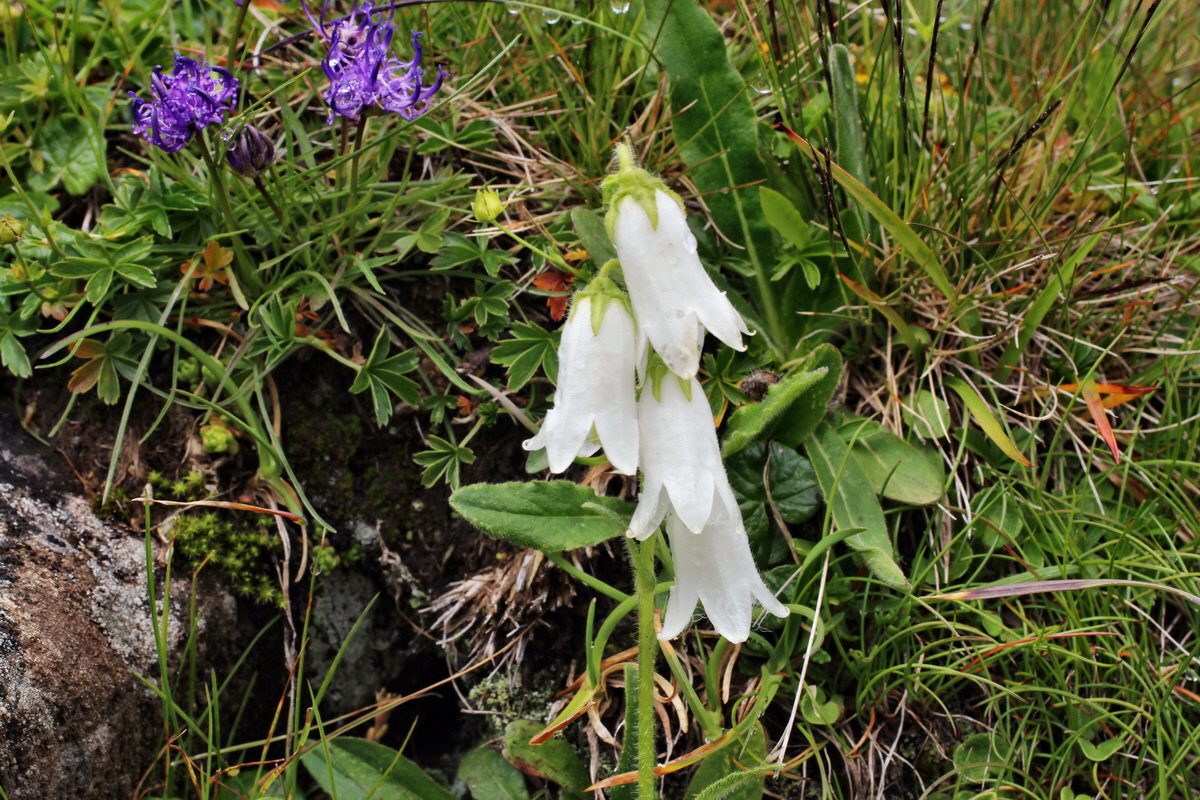 2014_07_31_00007085p_Bildgr��e �ndern