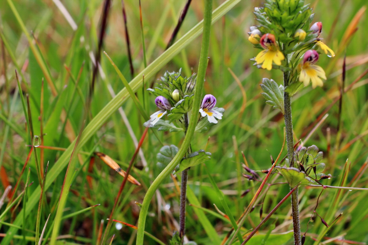 2014_07_31_00007111p_Bildgr��e �ndern