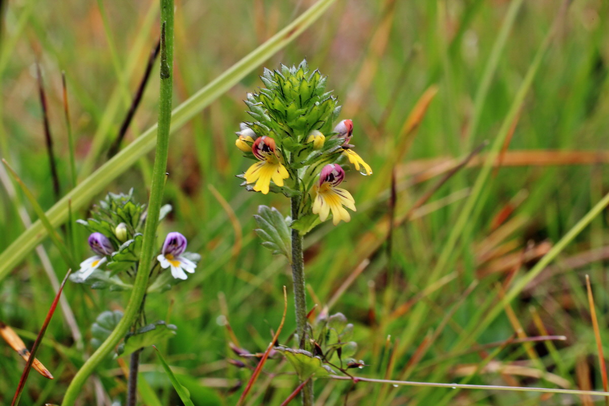 2014_07_31_00007115p_Bildgr��e �ndern