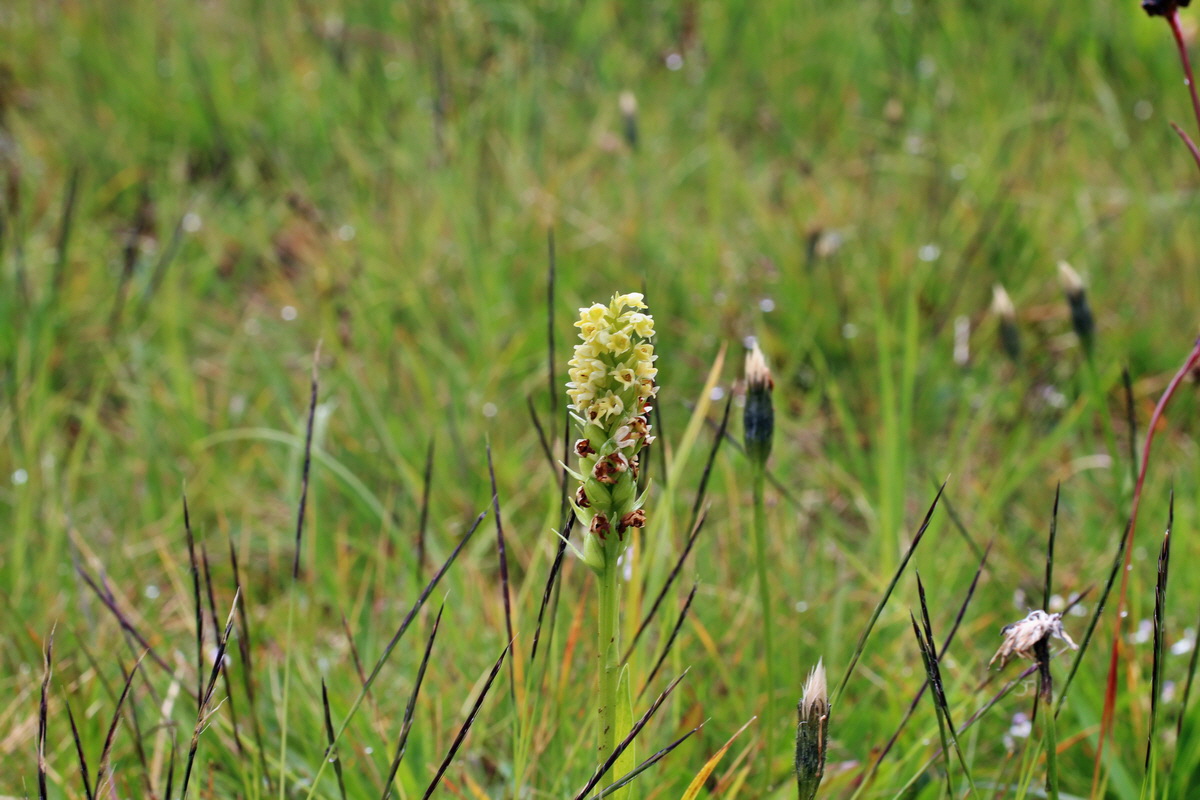 2014_07_31_00007118p_Bildgr��e �ndern