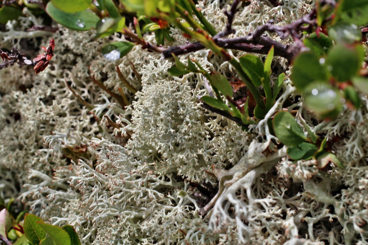 2014_07_31_00007135p_Bildgr��e �ndern