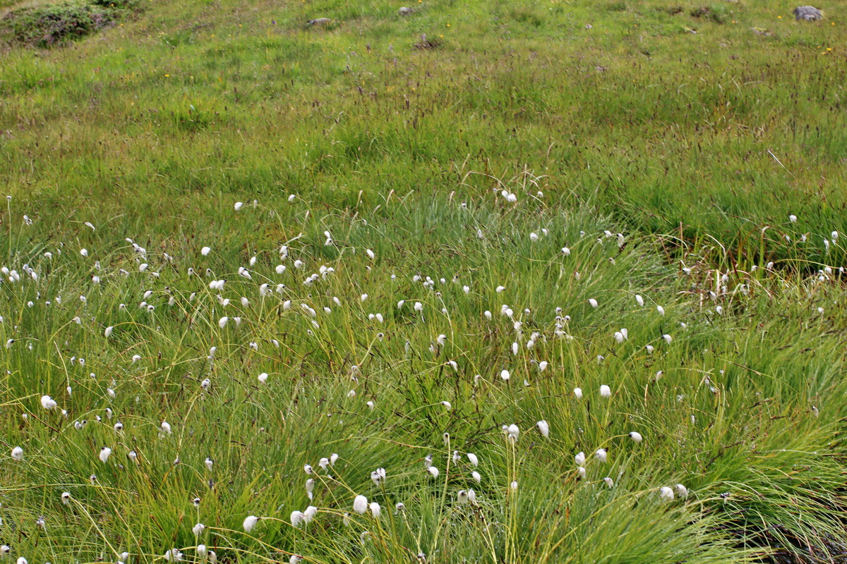 2014_07_31_00007146p_Bildgr��e �ndern