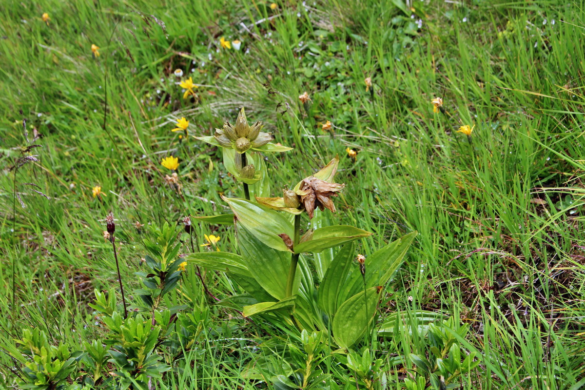 2014_07_31_00007157p_Bildgr��e �ndern