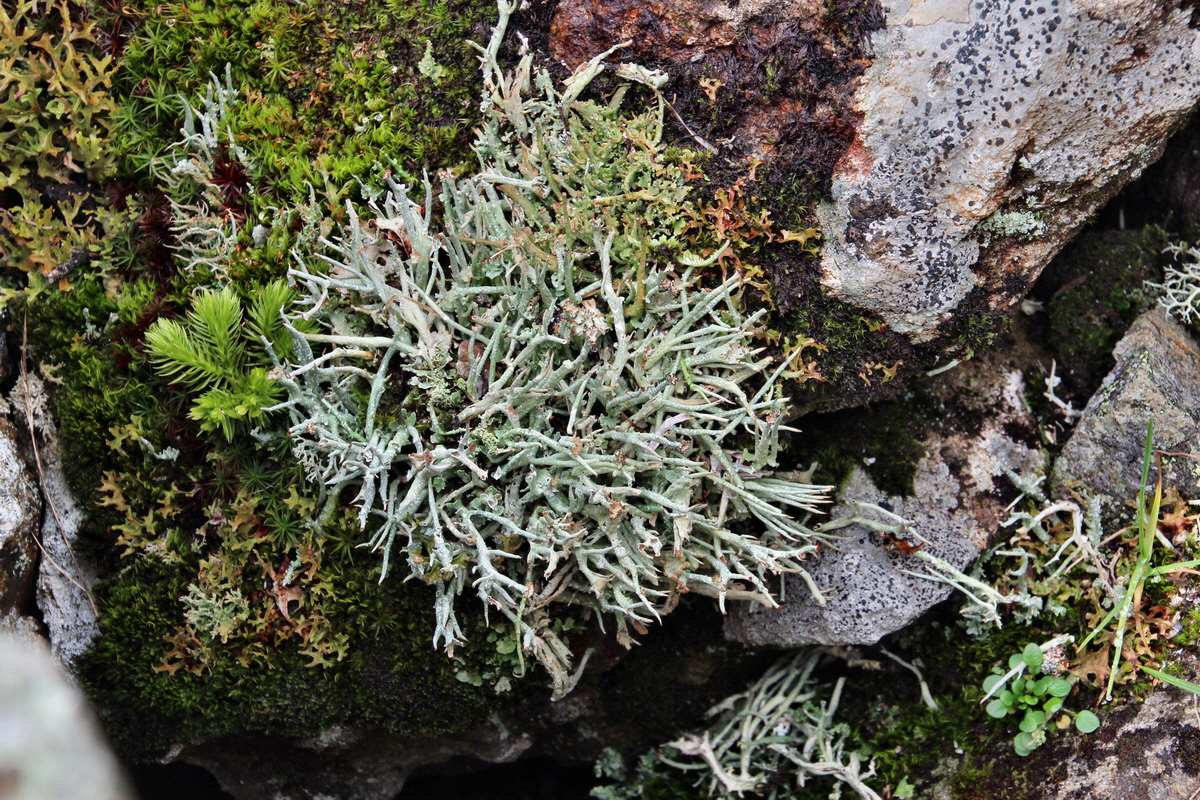 2014_07_31_00007166p_Bildgr��e �ndern