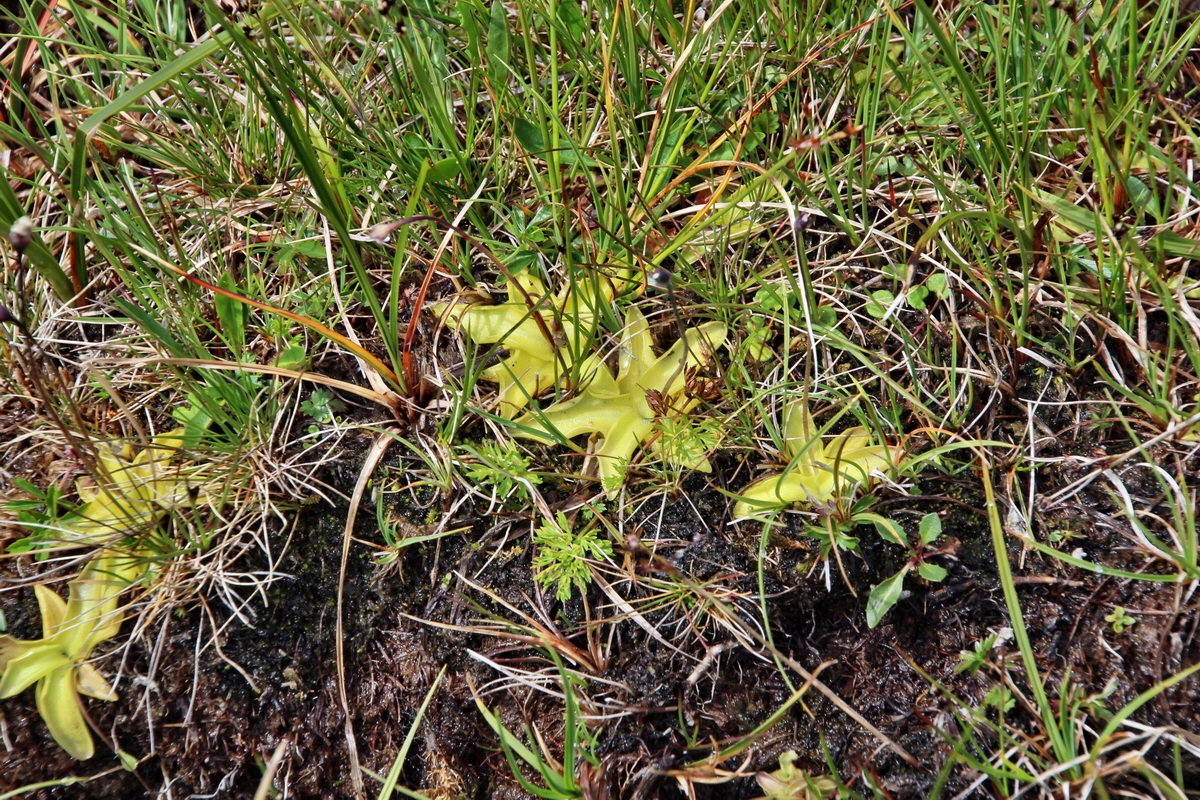 2014_07_31_00007191p_Bildgr��e �ndern