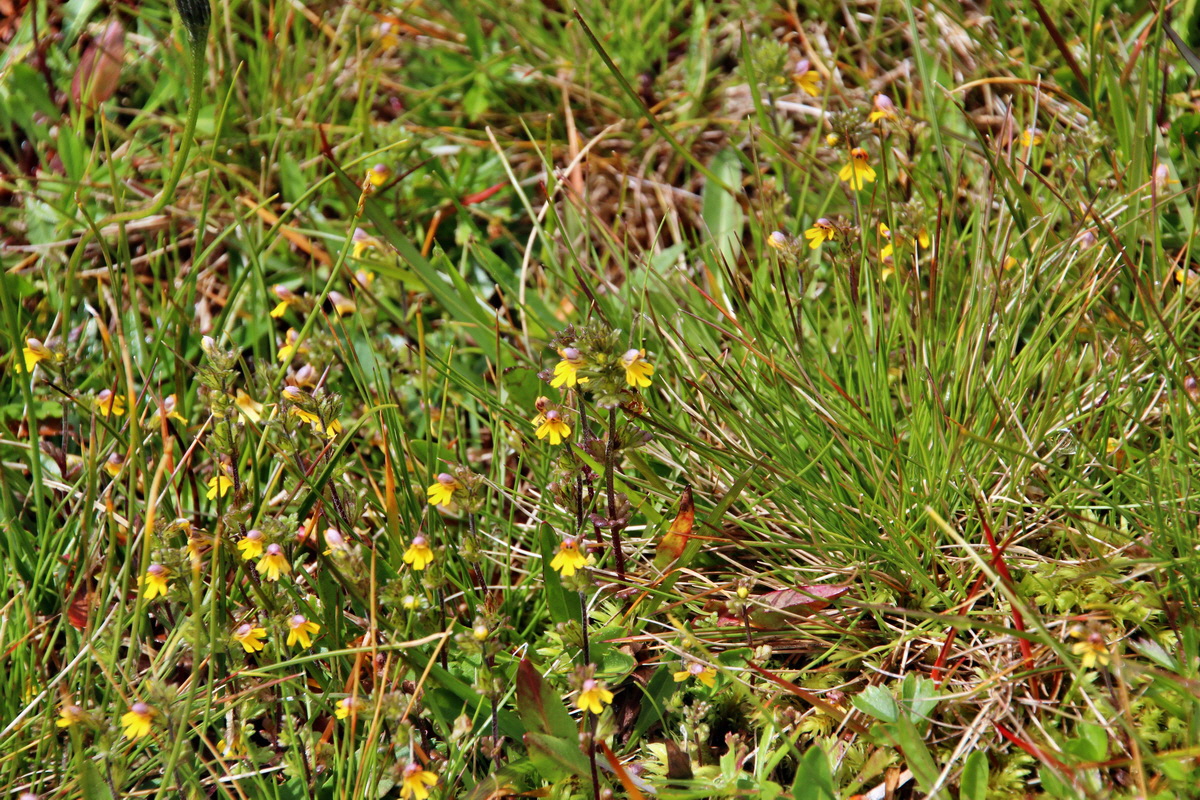 2014_07_31_00007192p_Bildgr��e �ndern