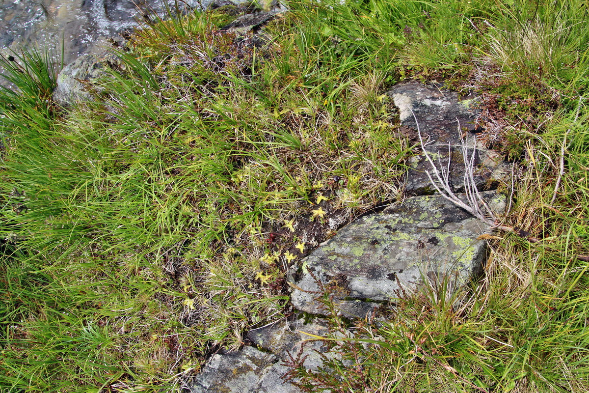 2014_07_31_00007200p_Bildgr��e �ndern