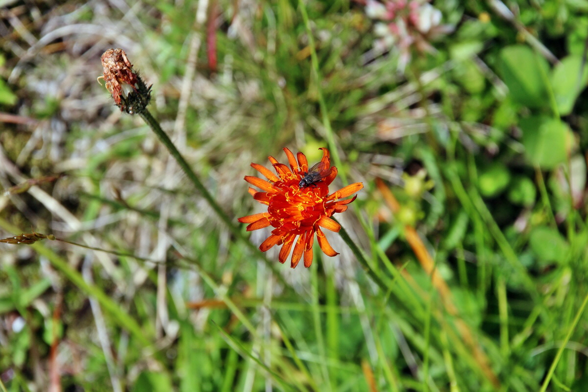 2014_07_31_00007202p_Bildgr��e �ndern