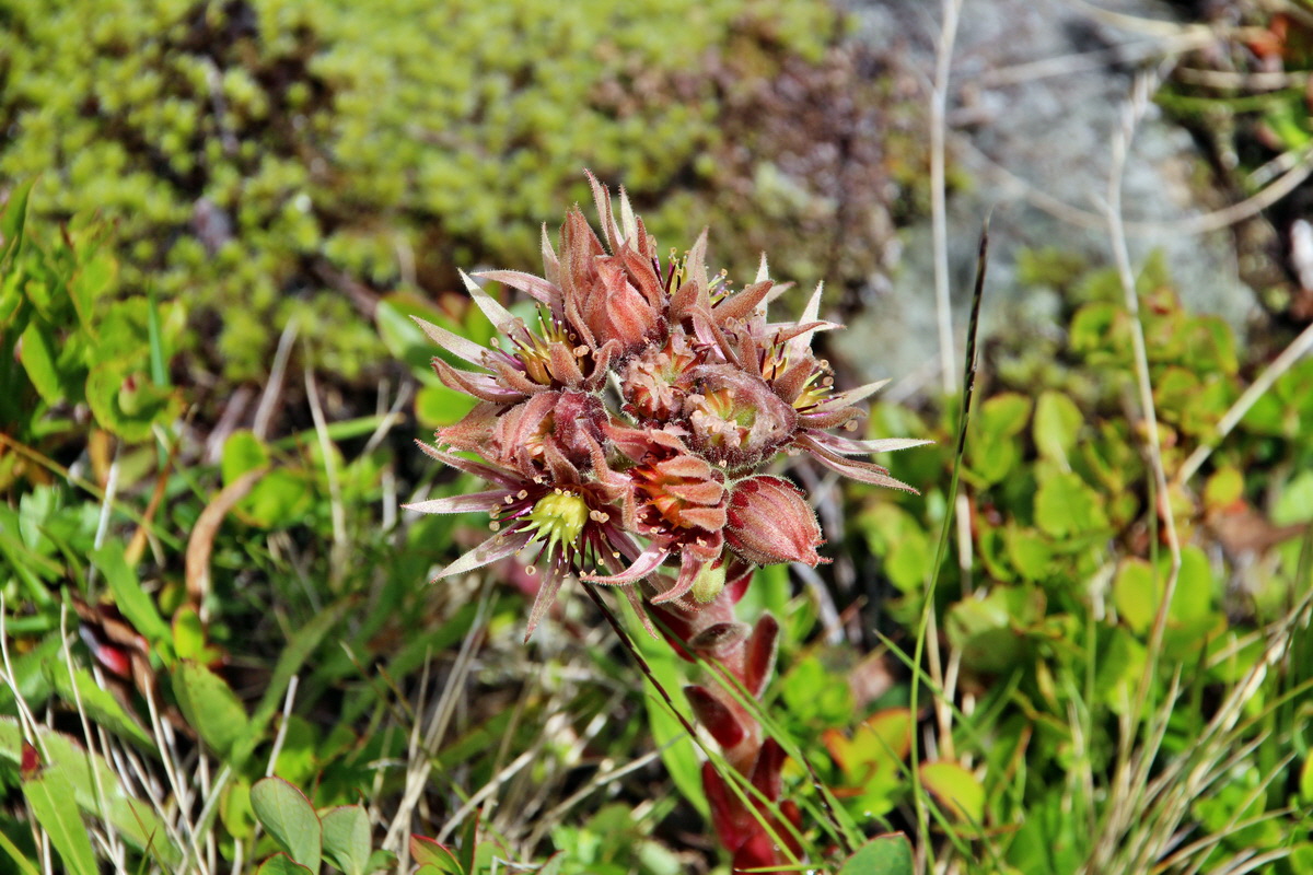 2014_07_31_00007203p_Bildgr��e �ndern