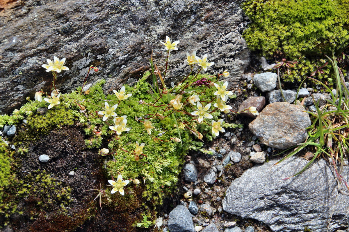 2014_07_31_00007558p_Bildgr��e �ndern