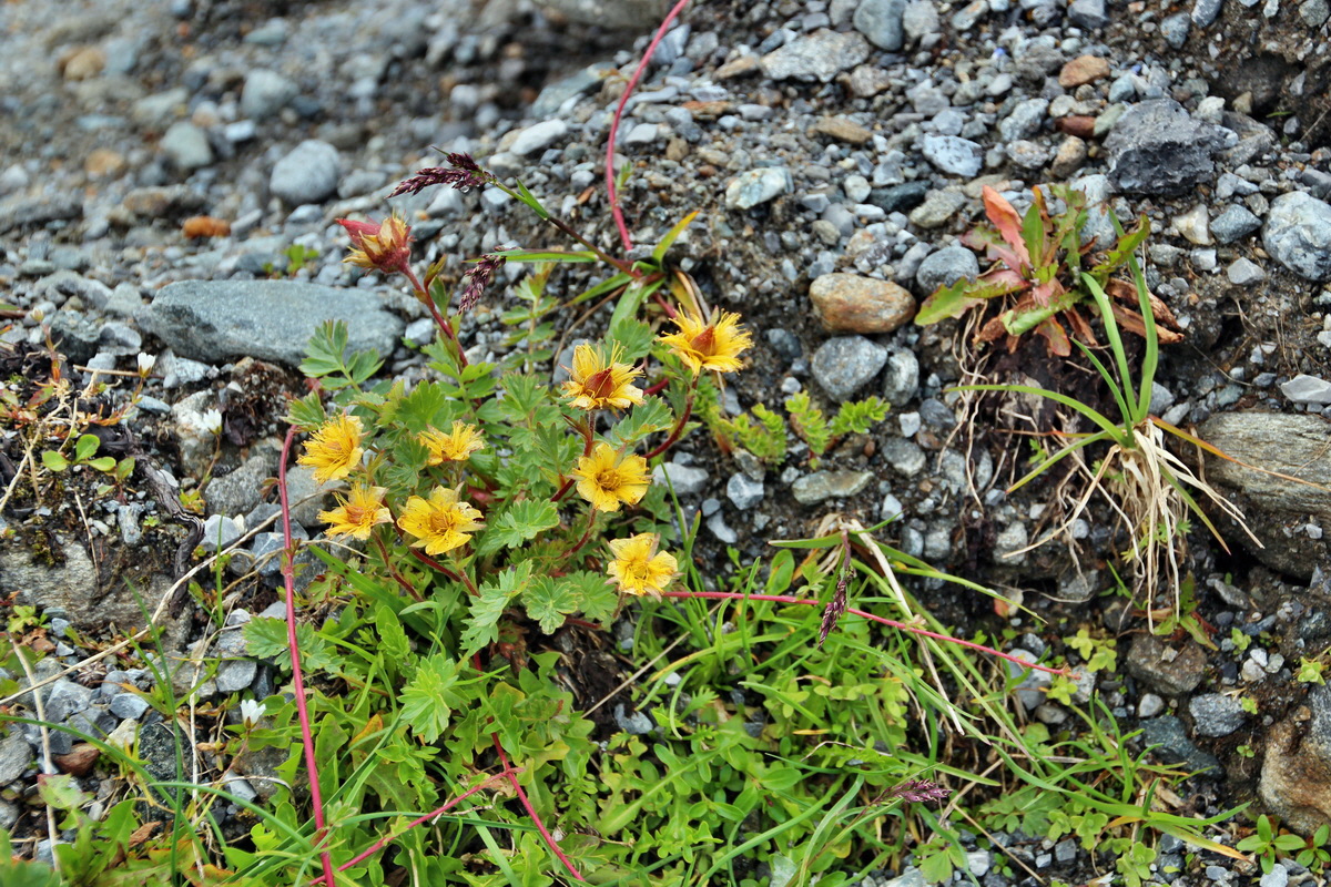 2014_07_31_00007716p_Bildgr��e �ndern