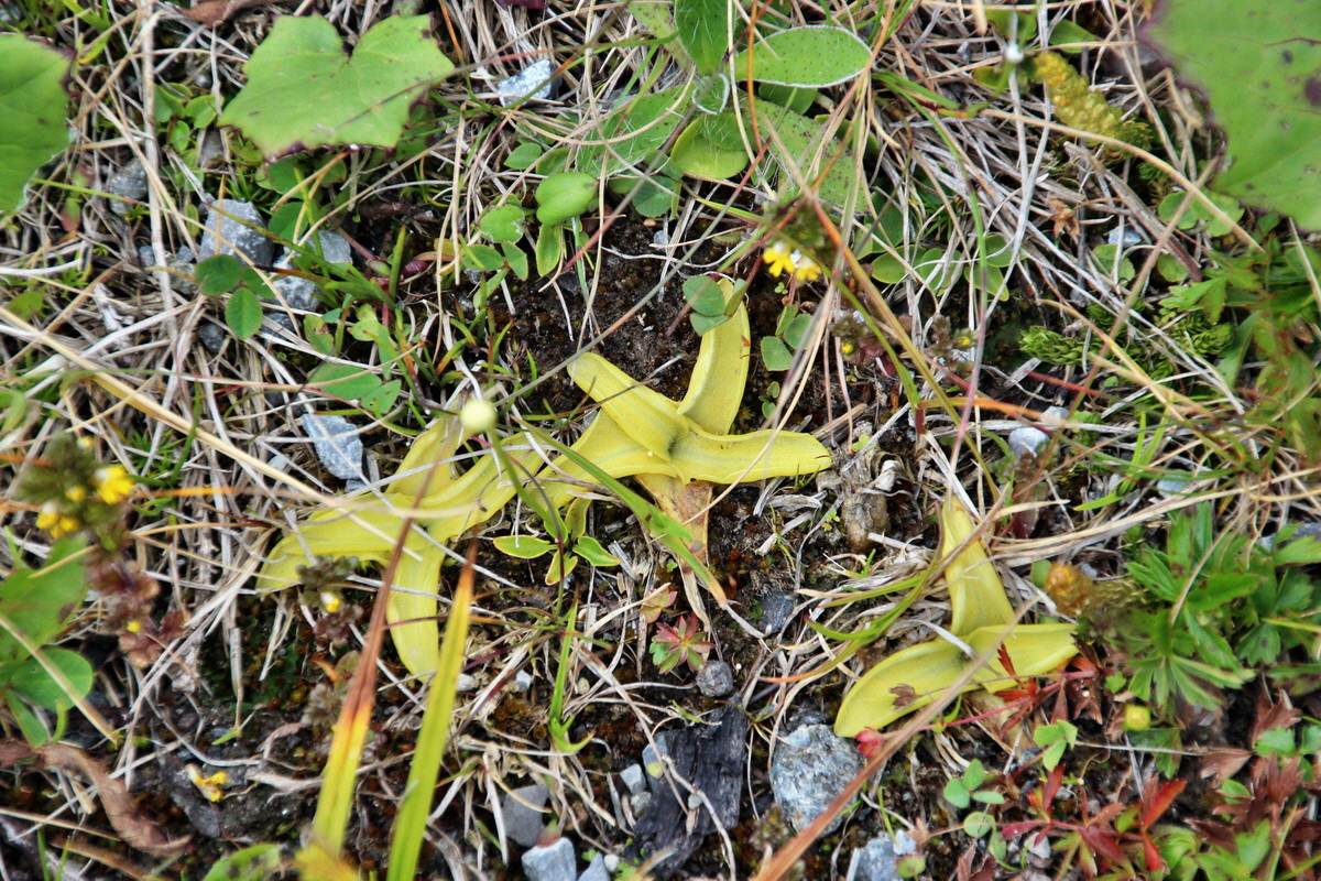 2014_07_31_00007761p_Bildgr��e �ndern