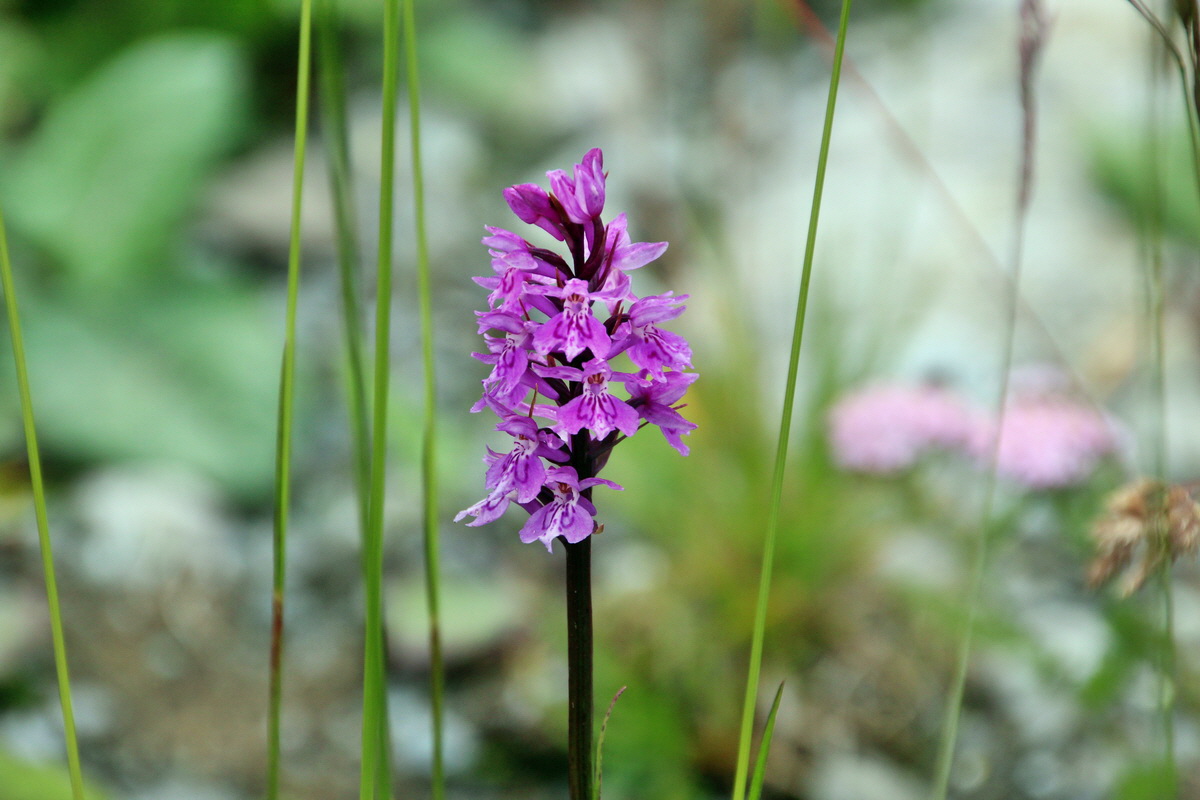 2014_07_31_00007763p_Bildgr��e �ndern