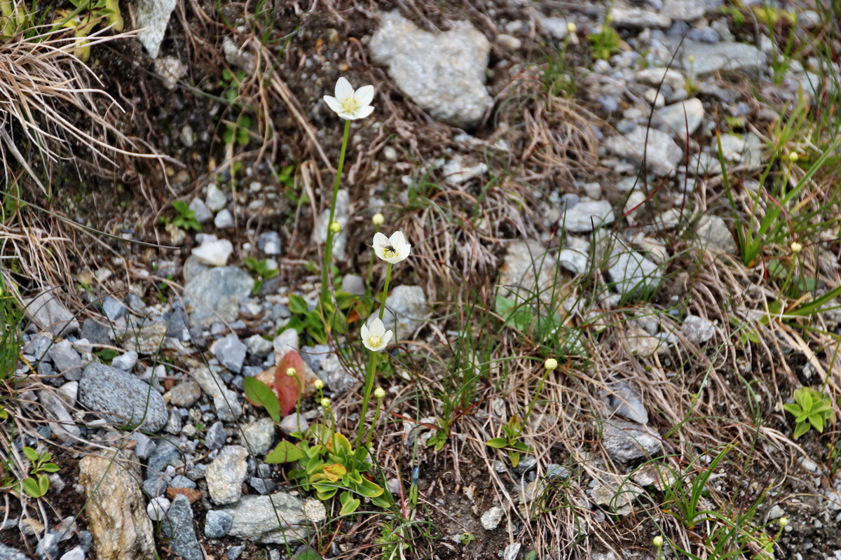 2014_07_31_00007765p_Bildgr��e �ndern