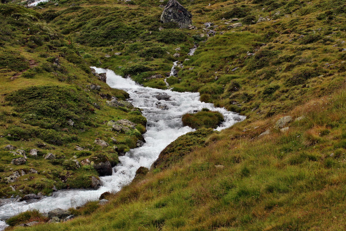 2014_07_31_00007091p_Bildgr��e �ndern