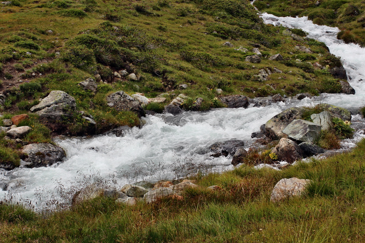 2014_07_31_00007099p_Bildgr��e �ndern