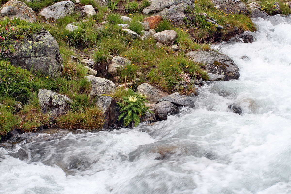 2014_07_31_00007104p_Bildgr��e �ndern