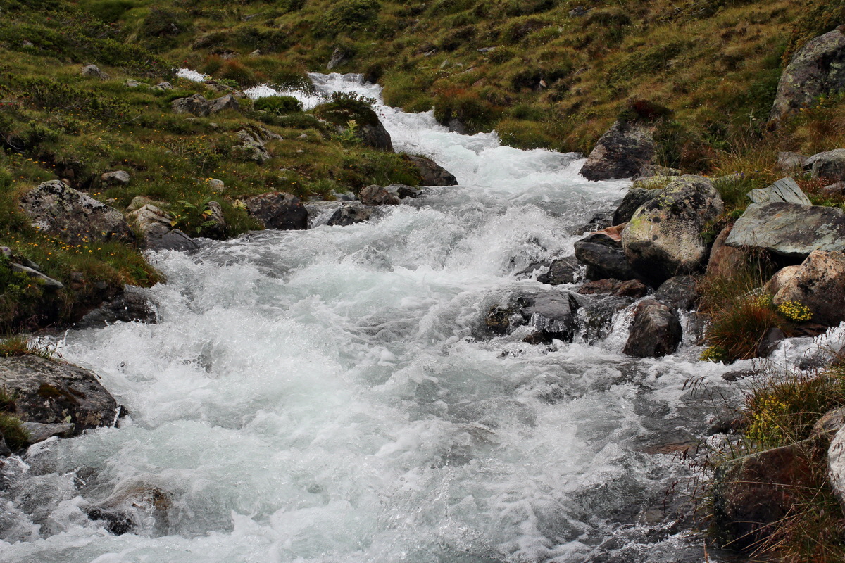 2014_07_31_00007106p_Bildgr��e �ndern