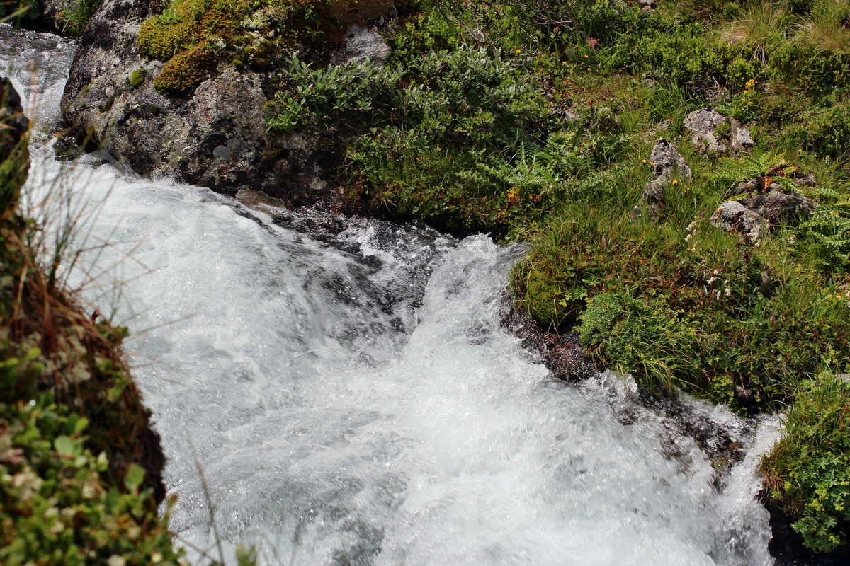 2014_07_31_00007122p_Bildgr��e �ndern