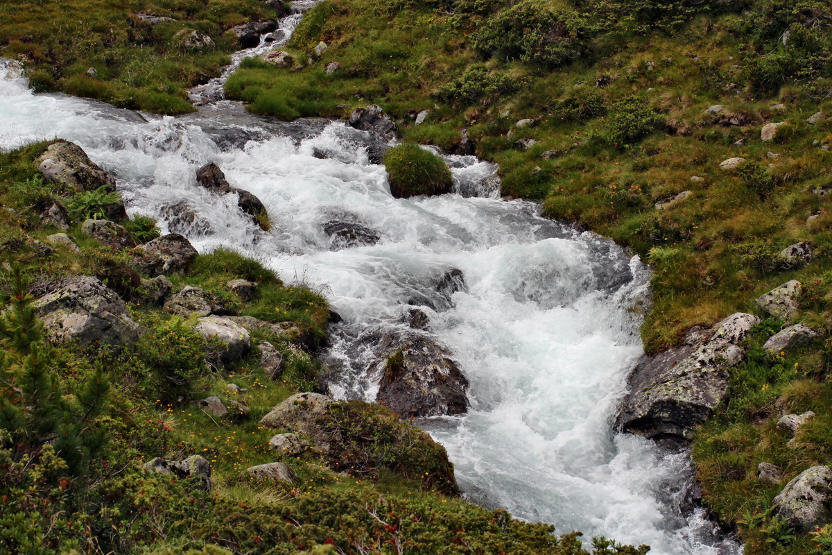 2014_07_31_00007136p_Bildgr��e �ndern