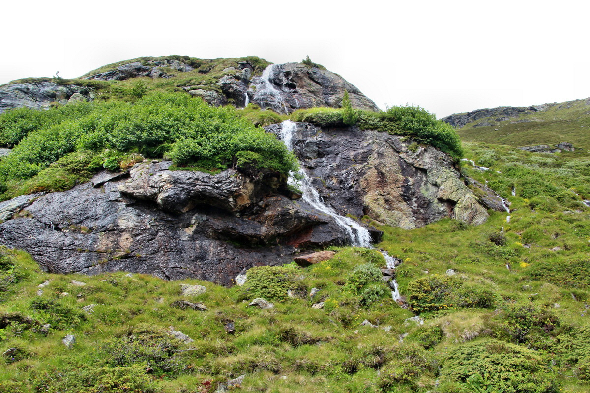 2014_07_31_00007195p_Bildgr��e �ndern