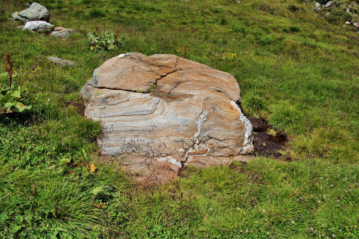 2014_07_31_00007209p_Bildgr��e �ndern