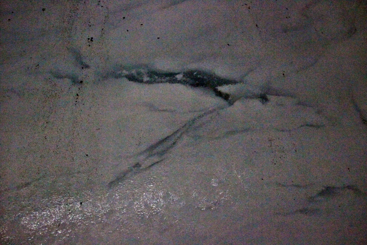 2014_07_31_00007624p_Bildgr��e �ndern