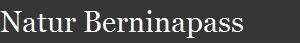 Natur Berninapass