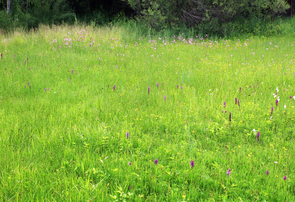 [Group 5]-2015_06_10_001377_2015_06_10_001387-4 images_Bildgr��e �ndern